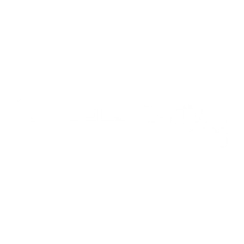 Celudmovil